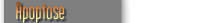 Apoptose